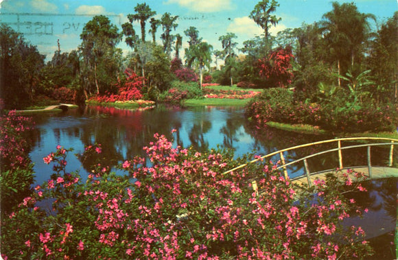 Famous Cypress Gardens, FL-Carey's Emporium