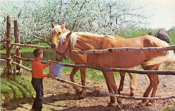 Greetings from Macon, MS-Carey's Emporium