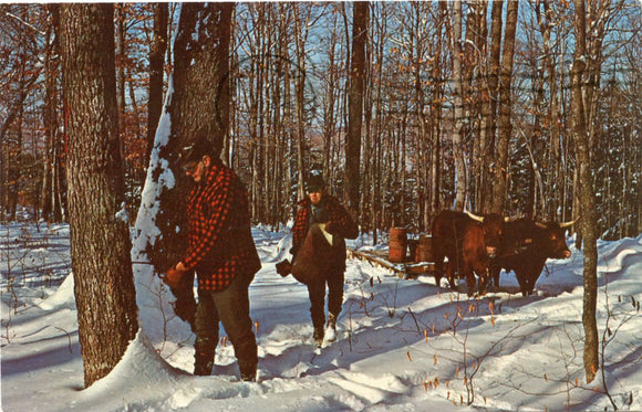 Sugaring in Vermont-Carey's Emporium