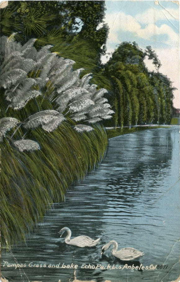Pampas Grass and Lake, Echo Park, Los Angeles, CA-Carey's Emporium