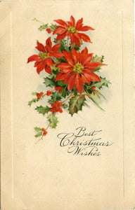 Best Christmas Wishes-Carey's Emporium