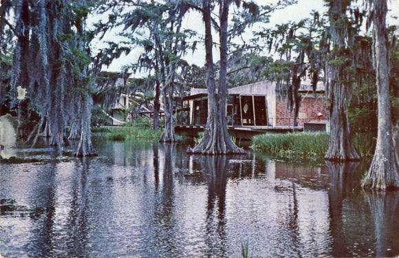 Cypress Lake, University of Southwestern Louisiana, Lafayette, LA-Carey's Emporium