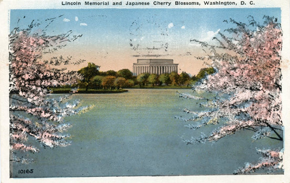 Lincoln Memorial and Japanese Cherry Blossoms, Washington, DC-Carey's Emporium