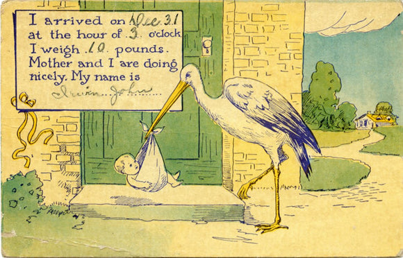 I Arrived on Dec. 31, at the Hour of 3 O'Clock, I weigh 10 Pounds, Mother and I are Doing Nicely, My Name is Irwin John-Carey's Emporium