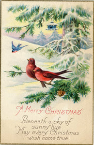 A Merry Christmas-Carey's Emporium