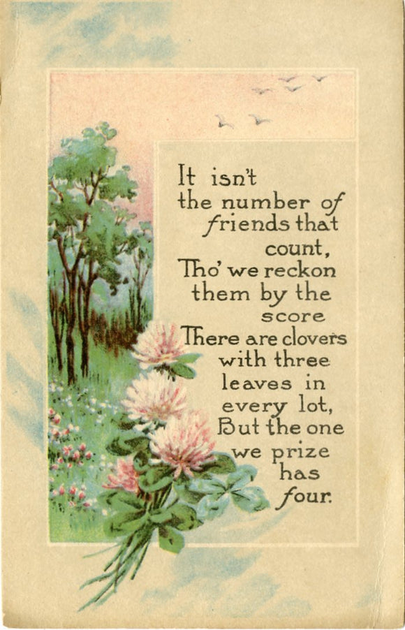 It Isn't the Number of Friends that Count-Carey's Emporium