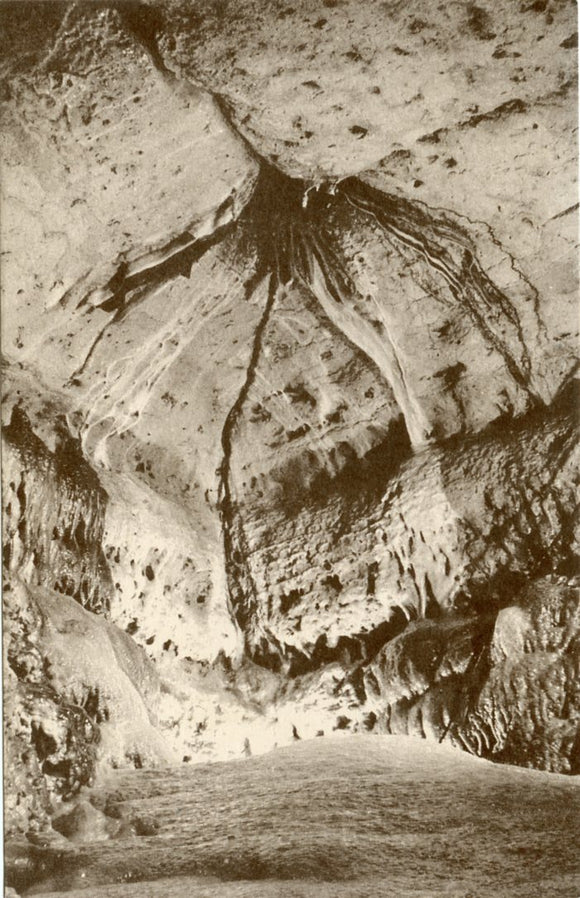 Rare Ribbons in Stone with Black and White Stripes Showing Twin Black Knights on Ledge at Left, Cave of the Mounds, Blue Mounds, WI-Carey's Emporium