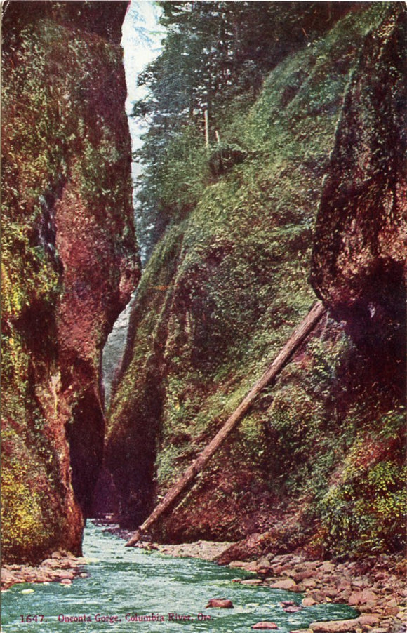 Oneonta Gorge, Columbia River, OR-Carey's Emporium