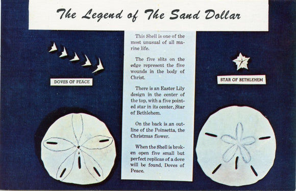 The Legend of the Sand Dollar-Carey's Emporium
