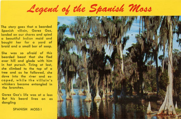 Legend of the Spanish Moss-Carey's Emporium