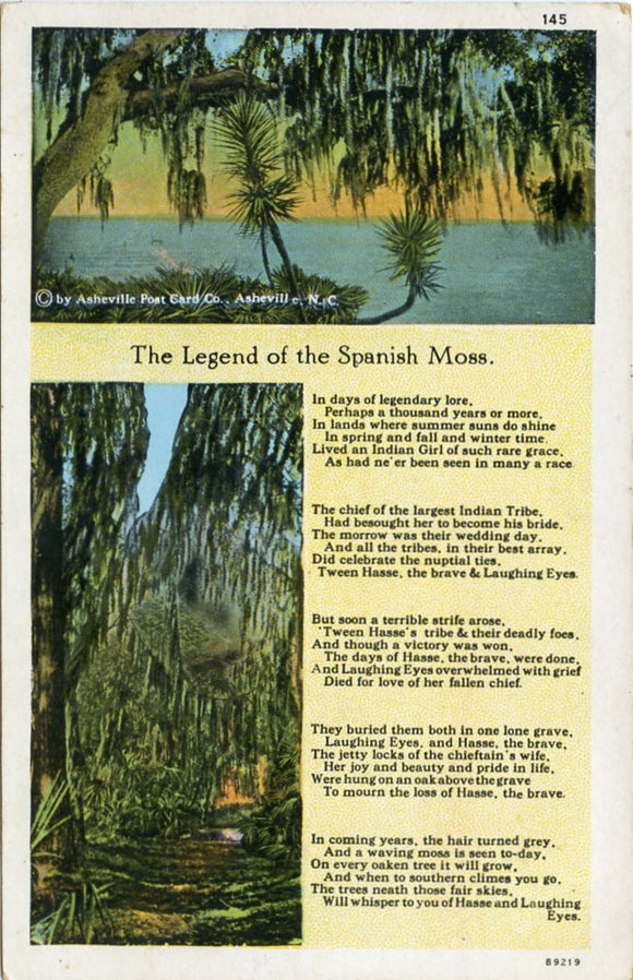 The Legend of the Spanish Moss-Carey's Emporium