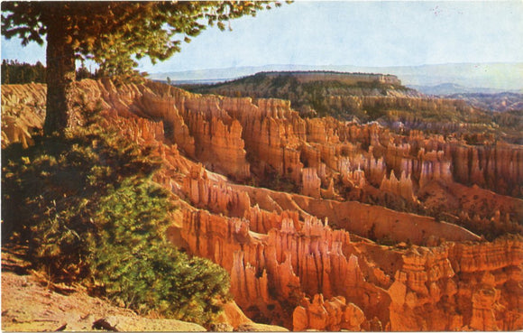 Bryce Canyon National Park, UT-Carey's Emporium