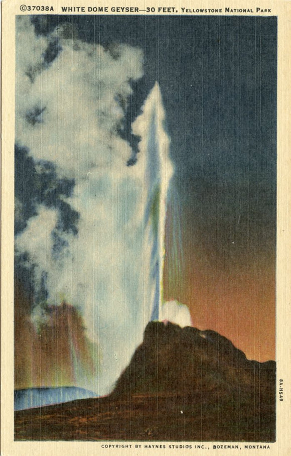 White Dome Geyser, 30 Feet., Yellowstone National Park-Carey's Emporium