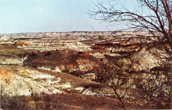 Badlands of North Dakota, Theodore Roosevelt National Park-Carey's Emporium