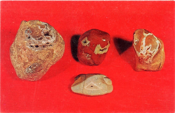 Agate (chalcedony) in Limestone-Carey's Emporium