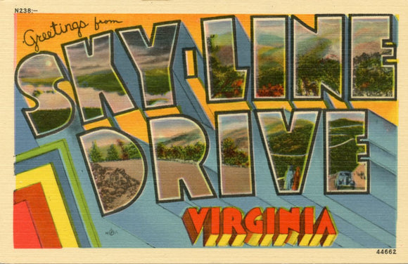 Greetings from Skyline Drive, VA Large Letter-Carey's Emporium