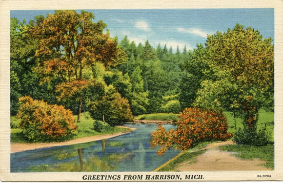Greetings from Harrison, MI-Carey's Emporium