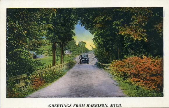 Greetings from Harrison, MI-Carey's Emporium