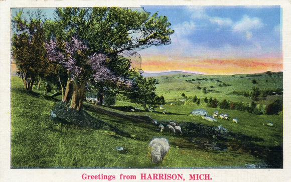 Greetings from Harrison, MI-Carey's Emporium