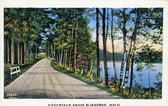 Greetings from Harrison, MI-Carey's Emporium