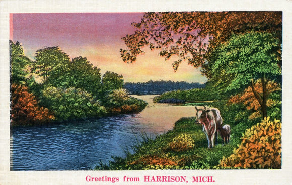 Greetings from Harrison, MI-Carey's Emporium