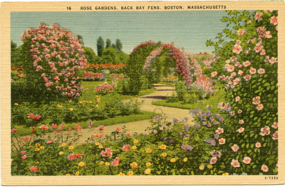 Rose Gardens, Back Bay Fens, Boston, MA-Carey's Emporium