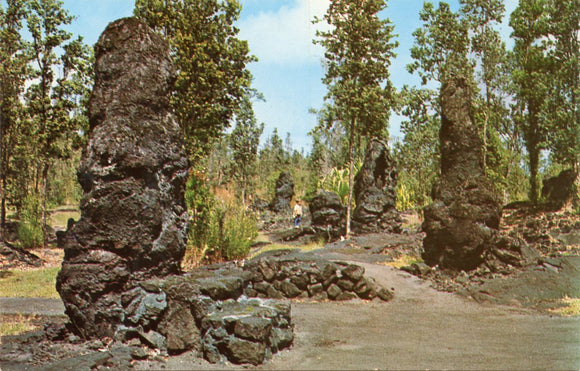 Lava Trees at Lava Tree State Park, Island of Hawaii-Carey's Emporium
