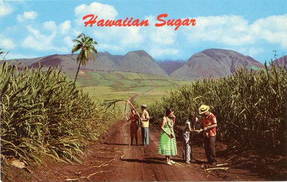Sugar Fields, HI-Carey's Emporium