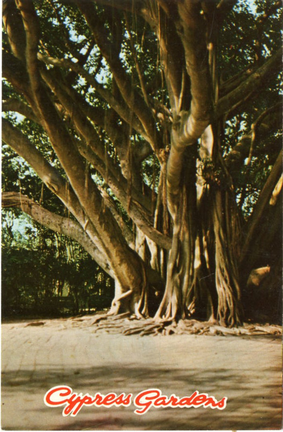 Cypress Gardens-Carey's Emporium