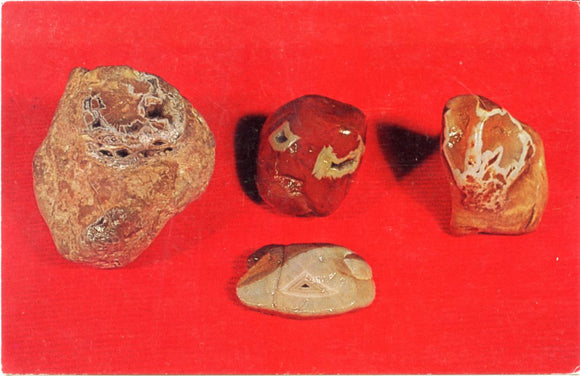 Agate (chalcedony) in Limestone-Carey's Emporium