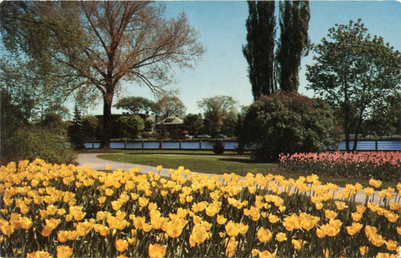 Frame for a Canal, Along the Charming Rideau Canal as it Winds Through Ottawa-Carey's Emporium