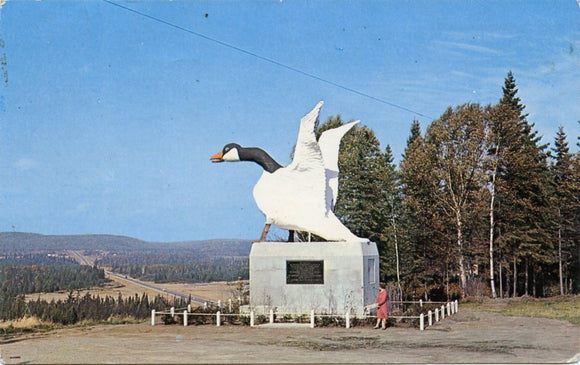 The Wild Goose, Wawa, Ontario, Canada-Carey's Emporium