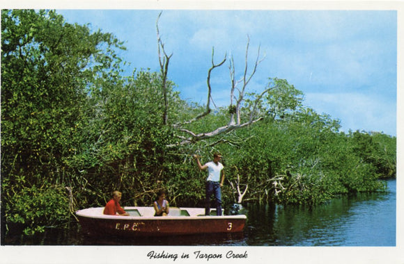 Fishing in Tarpon Creek, Everglades National Park, FL-Carey's Emporium