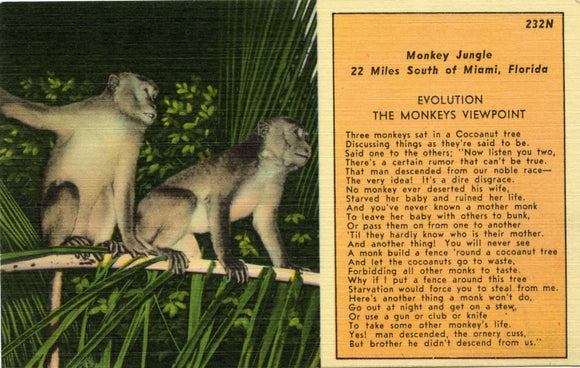 Monkey Jungle, 22 Miles South of Miami, FL-Carey's Emporium