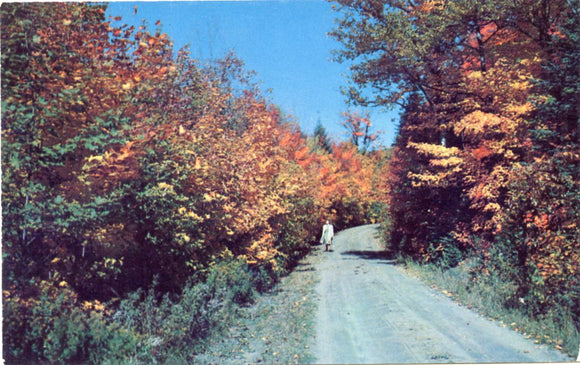 Hardy Dam, Newaygo County, MI-Carey's Emporium