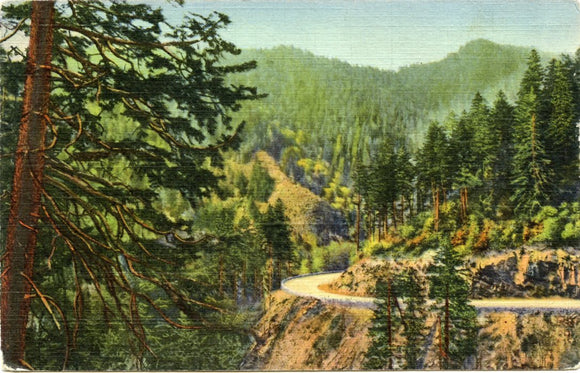 One of the Many Curves on Highway Through Great Smoky Mountains National Park-Carey's Emporium