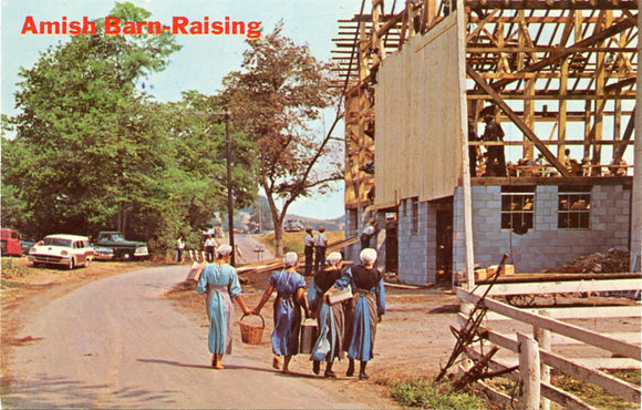 Greetings From The Amish Country-Carey's Emporium