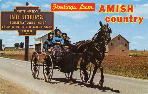 Greetings From Amish Country-Carey's Emporium