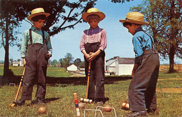 Greetings From The Amish Country-Carey's Emporium