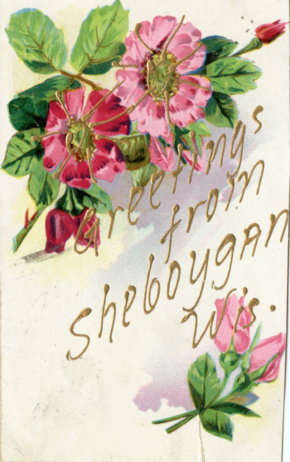 Greetings from Sheboygan, WI-Carey's Emporium