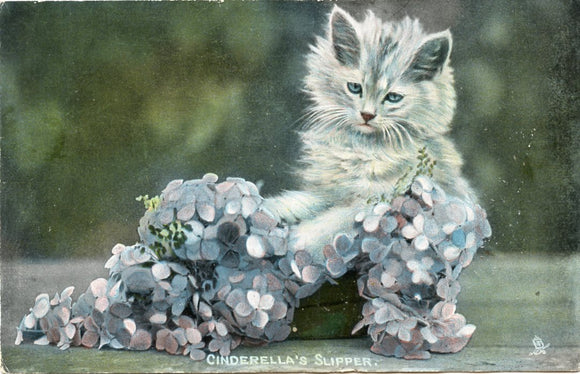 Cinderella's Slipper-Carey's Emporium