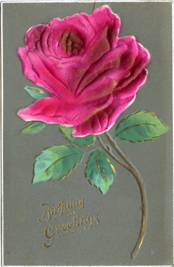 Birthday Greetings-Carey's Emporium