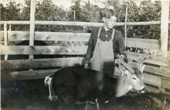 Young Man with Deer-Carey's Emporium