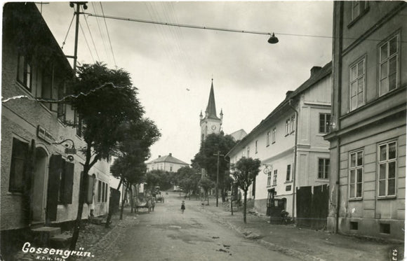 Gossengrun-Carey's Emporium