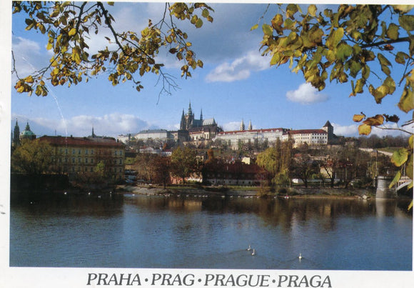 Castle Hradcany, Praha-Carey's Emporium