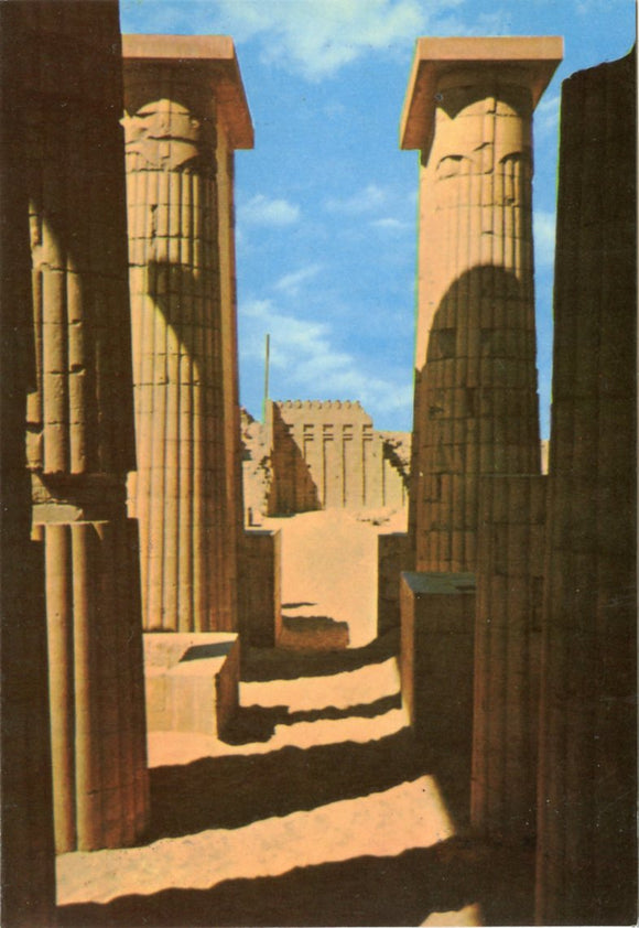 Fluted Columns and Wall With Ureaus Frieze, Sakkara-Carey's Emporium