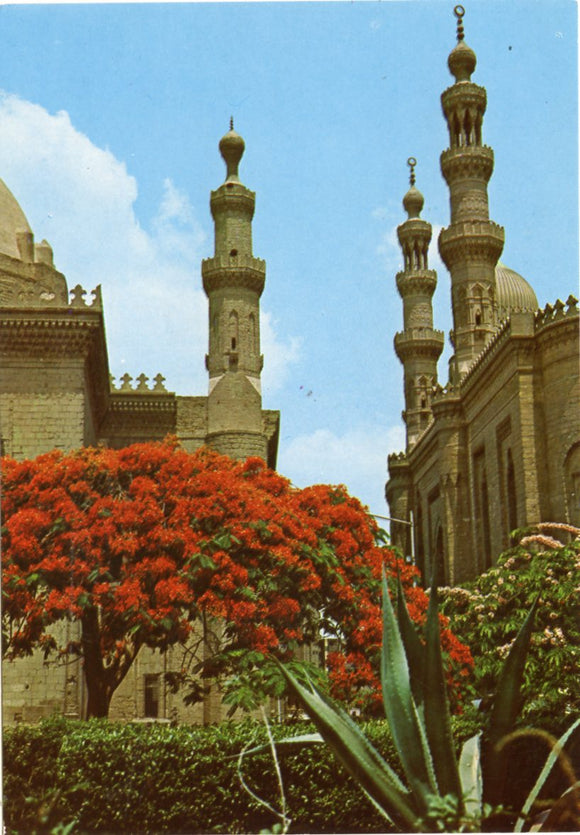 Sultan Hassan and El Rifai Mosques, The Citadel-Carey's Emporium