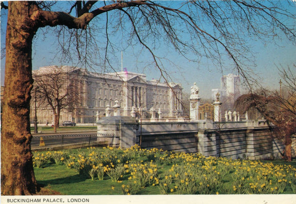 Buckingham Palace, London-Carey's Emporium