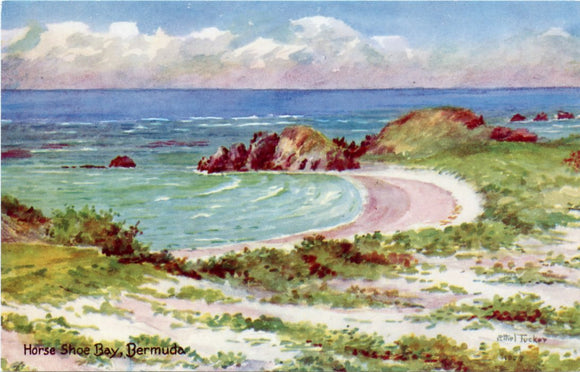 Horse Shoe Bay, Bermuda - Carey's Emporium