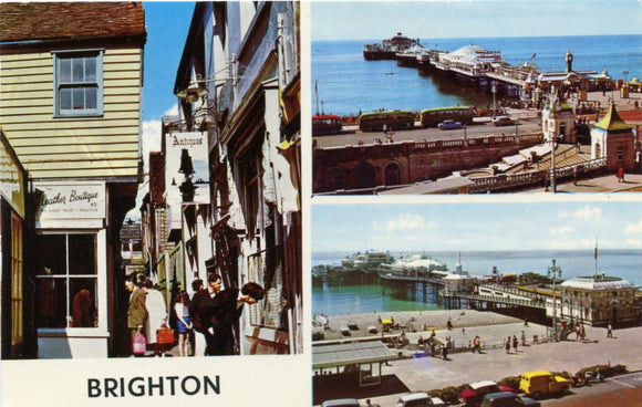 Brighton - Carey's Emporium